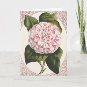 Vintage Camellia Elegant Thank You Card
