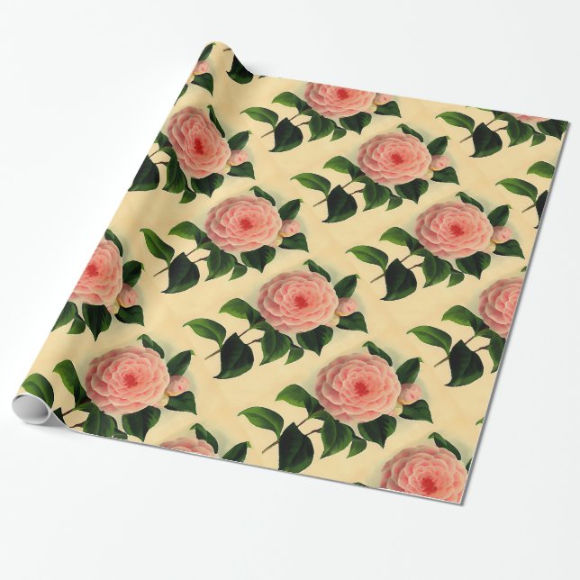Vintage  camellia wrapping paper (Unrolled)