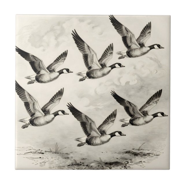 Vintage Canada Geese in Flight Engraving Ceramic Tile (Front)