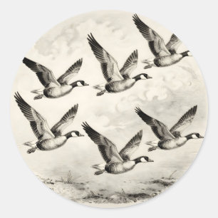 Vintage Canada Geese in Flight Engraving Classic Round Sticker