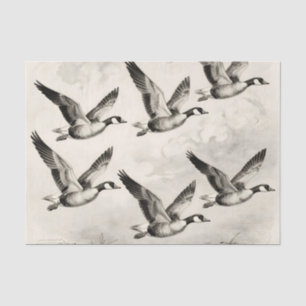 Vintage Canada Geese in Flight Engraving Tissue Paper