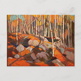 Vintage Canadian Tom Thomson Birch Grove Painting Postcard