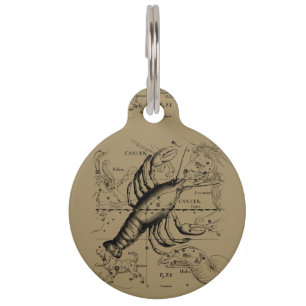 Vintage Cancer Constellation Map Hevelius 1690 Pet Tag