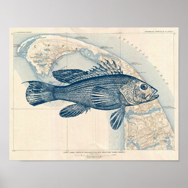 Vintage Cape Cod map with Fish Sea bass Poster (Front)
