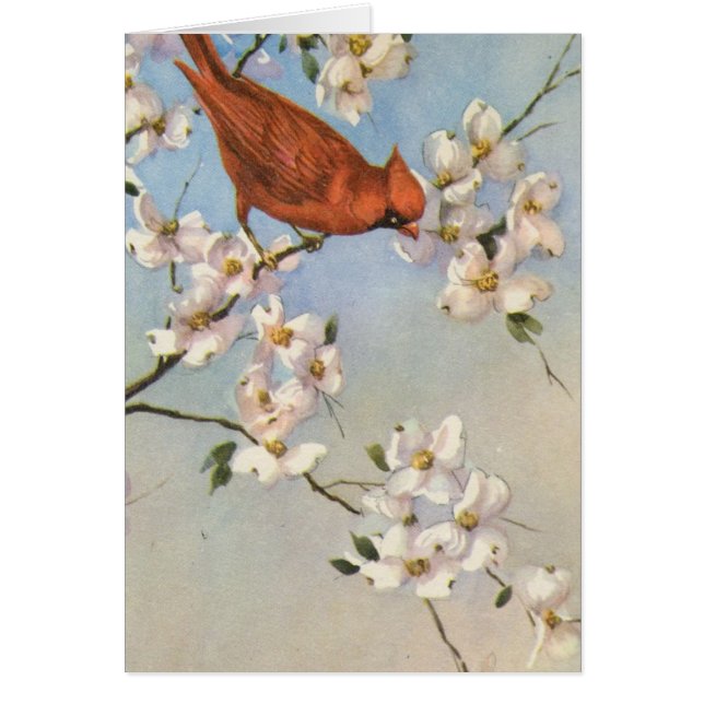 Vintage Cardinal (Front)