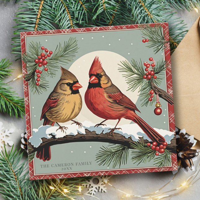 Vintage Cardinal Birds Family Holly Christmas Card (Vintage Cardinal Birds Family Holly Christmas Card)