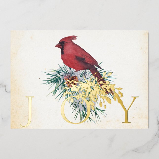 Vintage cardinal custom Christmas Holiday Card (Front)