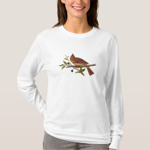 Vintage Cardinal Song Bird Illustration - Female T-Shirt
