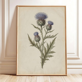 Vintage Cardoon Flower Farmhouse Wall Art Canvas P