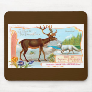 Vintage Caribou (Reindeer) and Arctic Fox Mouse Pad