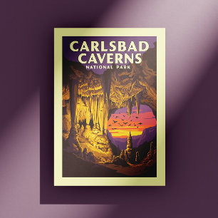Vintage Carlsbad Caverns National Park Postcard