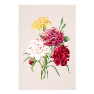 Vintage Carnation Flowers Print