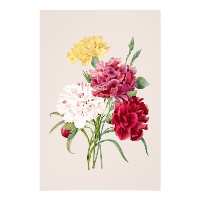 Vintage Carnation Flowers Print  (Front)