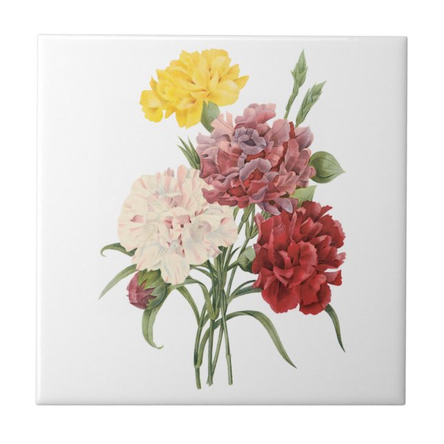 Vintage Carnations Dianthus Garden Flowers Redoute Ceramic Tile (Front)