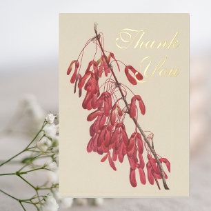 Vintage Carolina Maple Botanical Thank You