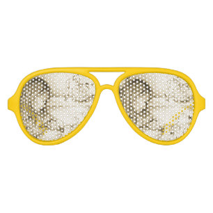 Vintage Carousel Dreams Aviator Party Shades