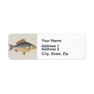 Vintage Carp Freshwater Fish Drawing Return Address Label