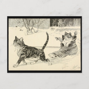 Vintage Cat 1883 Illustration, Fun Ride in a Shoe Postcard