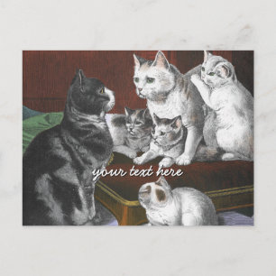 Vintage Cat Family Postcard
