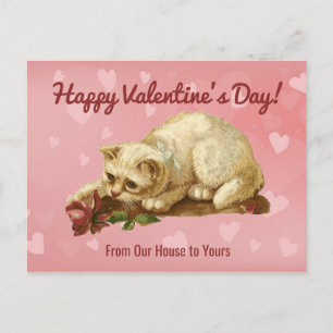 Vintage Cat Happy Valentines Day Postcard