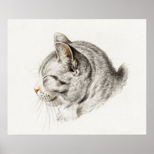 Vintage Cat Illustration Poster