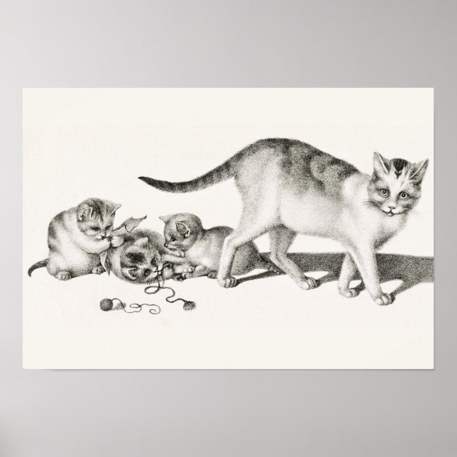 Vintage Cat Illustration Poster (Front)