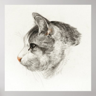 Vintage Cat Illustration Poster