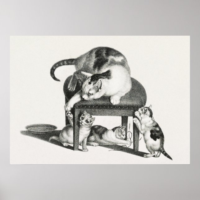 Vintage Cat Illustration Poster (Front)