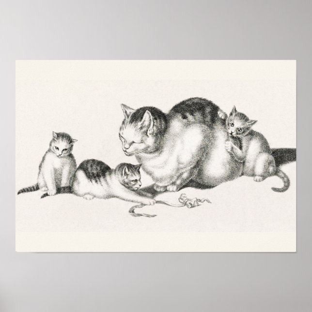 Vintage Cat Illustration Poster (Front)