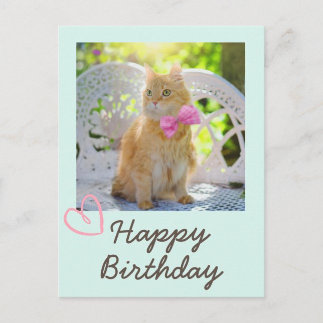 Vintage Cat in the Ribbon and Happy Birthday  Postcard (Front)