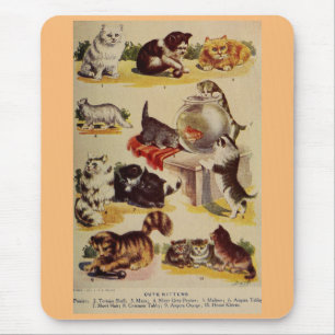 Vintage cat kitten breed chart cute mouse pad