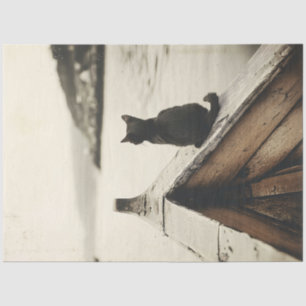 Vintage Cat on Boat Sepia Tone Decoupage Tissue Paper