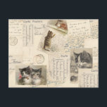 Vintage Cat Postcard French Kitten<br><div class="desc">For the cat lover in your life. Vintage French postcards complete with handwritten messages and adorned with cats and kittens cover this tissue paper. Cats and kittens with a ribbon and bell,  climbing up a wall and staring down a mouse are sure to bring a smile.</div>