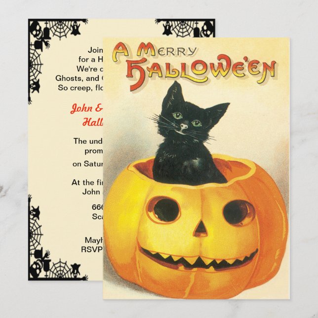 Vintage Cat Sitting In A Pumpkin Invitation (Front/Back)