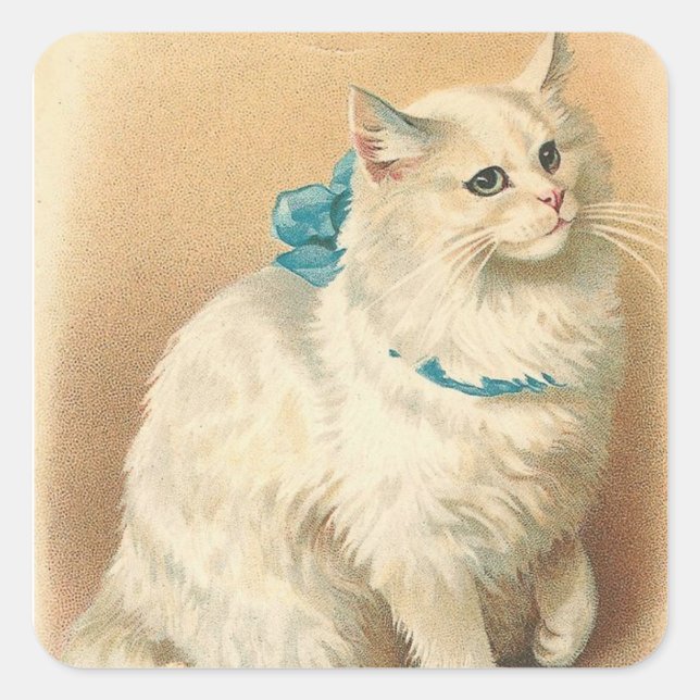 vintage cat stickers (Front)