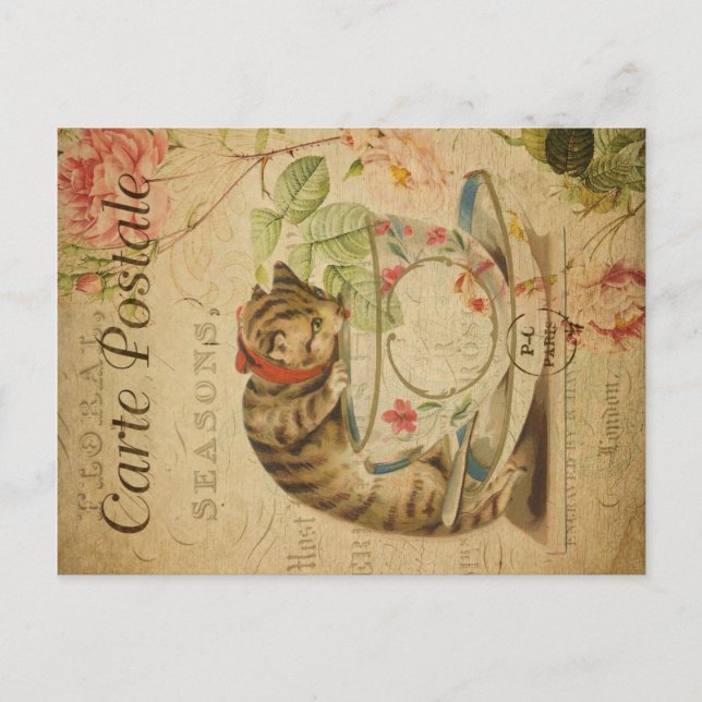 Vintage Cat Theme | Carte Postale | Cat & Teacup Postcard (Front)