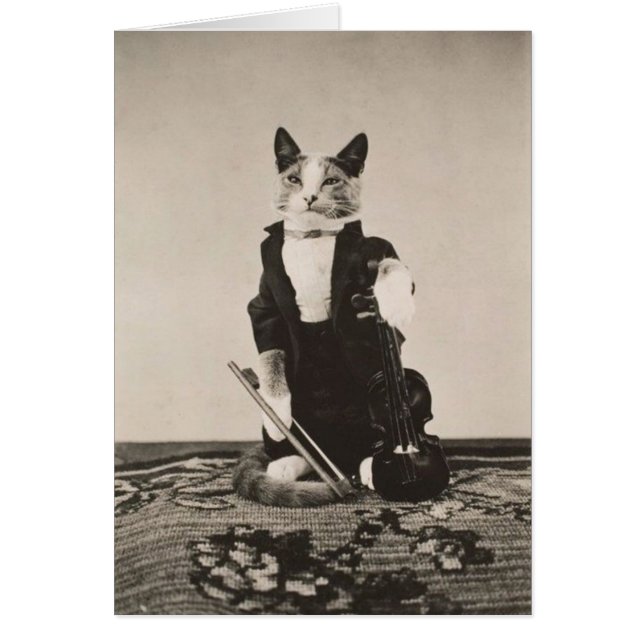 Vintage - Cat Violinist, (Front)