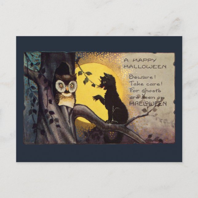Vintage Cat Warning Owl Spooky Halloween Postcard (Front)