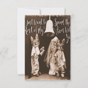 Vintage Cat Wedding  Cute Cat Design RSVP Card