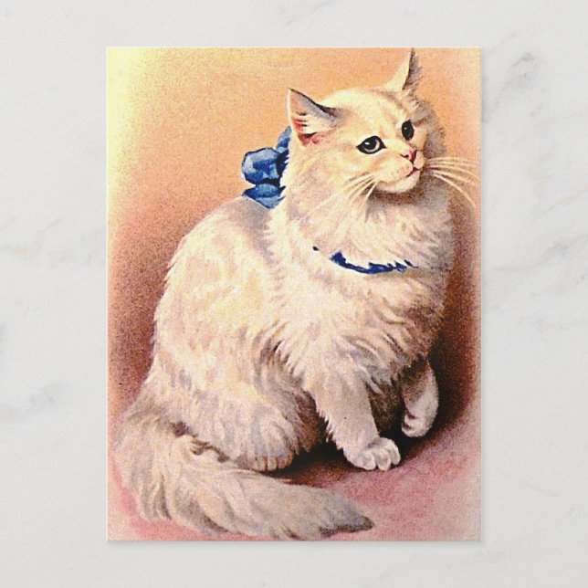 Vintage Cat with Blue Bow Postcard (Front)