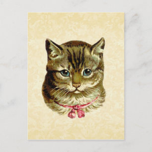 Vintage Cat with Pink Bow Postcard