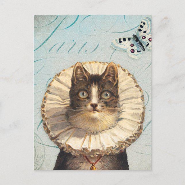 Vintage Cat with Ruff Collar and Butterflies Postcard (Front)