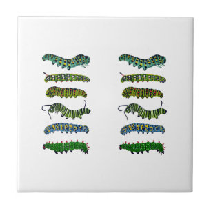Vintage Caterpillar Illustration Mug Ceramic Tile