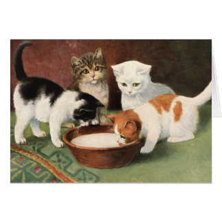 Vintage cats and milk