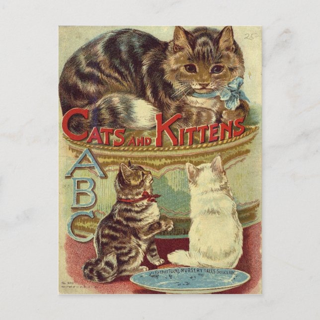 Vintage cats cute animal postcard (Front)