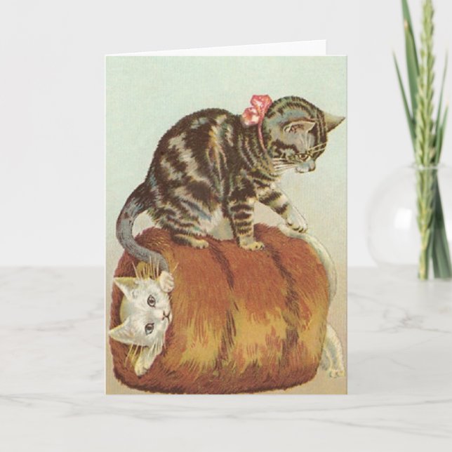 Vintage Cats In Haystack Note Card (Front)