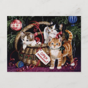 Vintage Cat's Merry Christmas Post Card