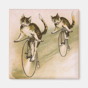 Vintage Cats on Bikes Magnet