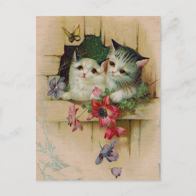Vintage Cats Postcard (Front)