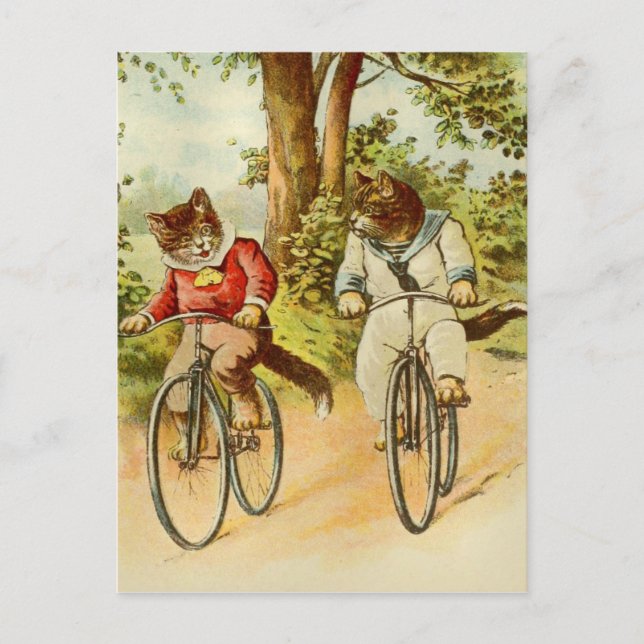 Vintage Cats Riding Bicycles Illustration Postcard (Front)